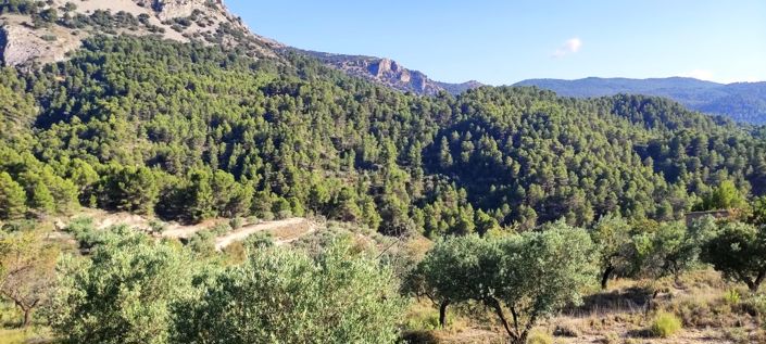 Image No.3-Maison de campagne à vendre à Benasau