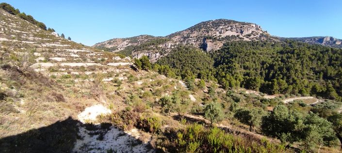 Image No.9-Maison de campagne à vendre à Benasau
