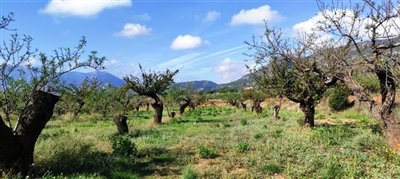 Homes in Costa Blanca most sold property