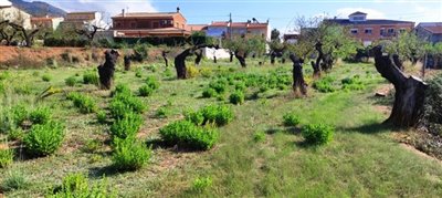 Homes in Costa Blanca most sold property