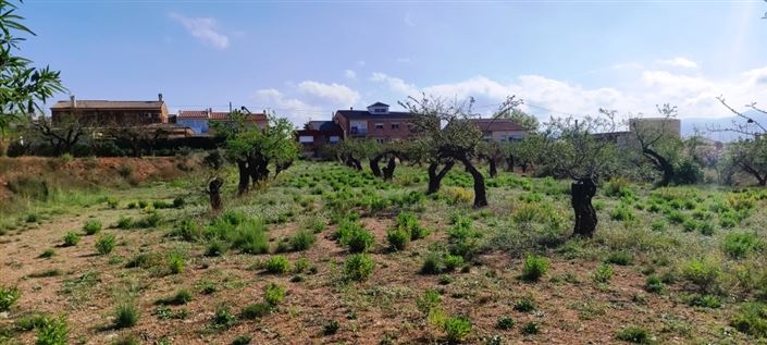 Image No.3-Property for sale