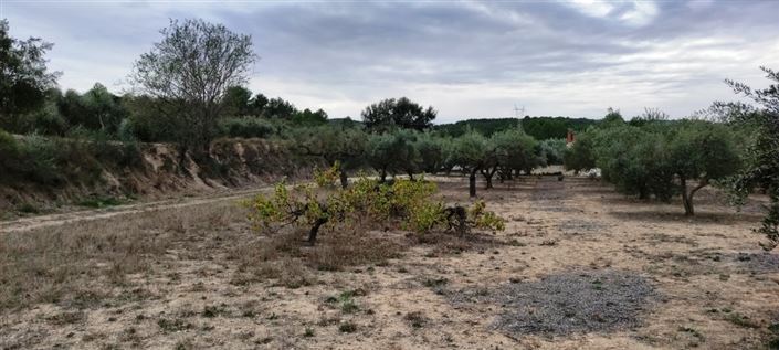 Image No.4-Country House for sale