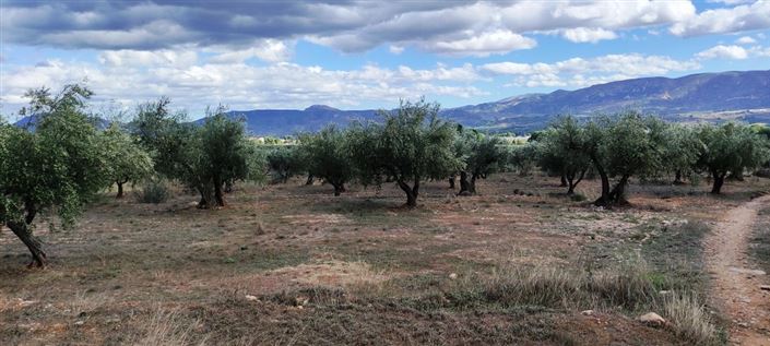 Image No.10-Maison de campagne à vendre à Muro de Alcoy