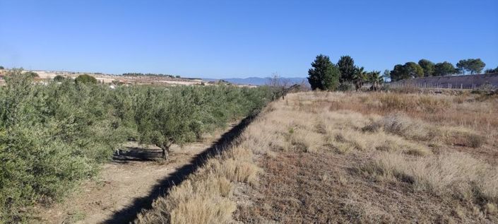 Image No.6-Country House for sale