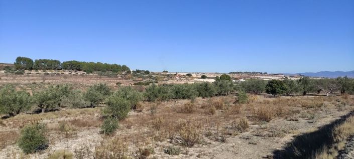 Image No.8-Country House for sale