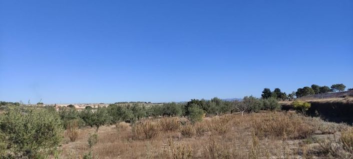 Image No.9-Country House for sale