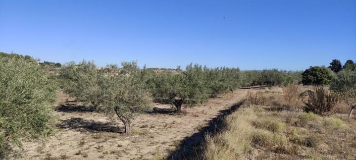 Image No.10-Country House for sale