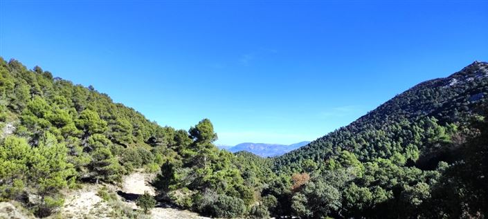 Image No.1-Finca de 7 chambres à vendre à Alcoy