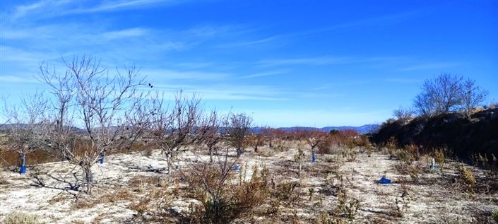 Image No.10-Property for sale