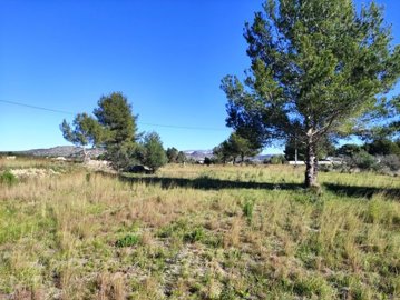 Homes in Costa Blanca most sold property