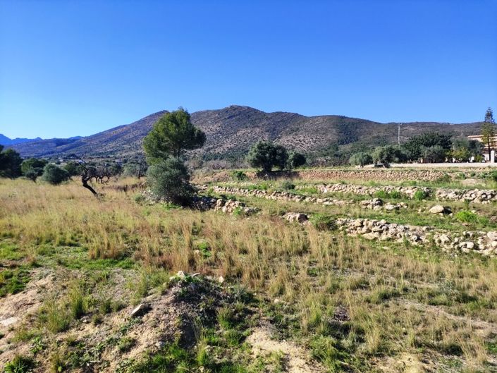 Image No.4-Property for sale