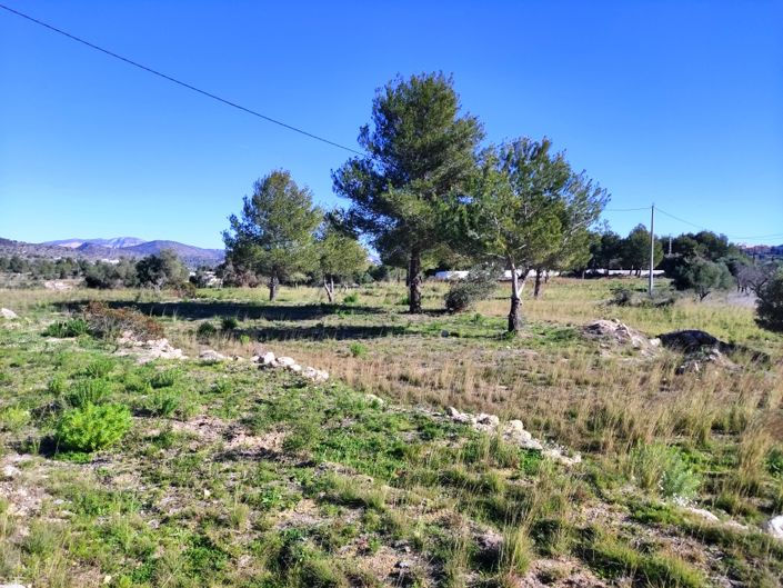 Image No.9-Property for sale