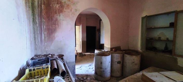 Image No.4-1 Bed Finca for sale