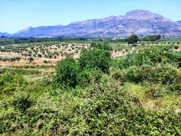 Homes in Costa Blanca most sold property