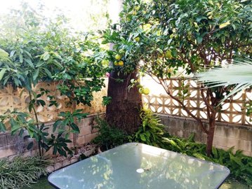 o1j99qdsb47lm3vu1h8p411sko20