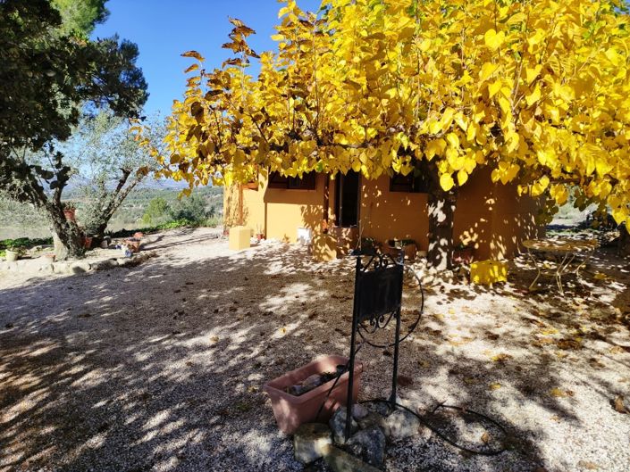 Image No.9-Maison de campagne de 1 chambre à vendre à Benilloba