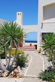 Large-villa-fore-sale-in-Chania-Crete-garden-detail-20d165f0
