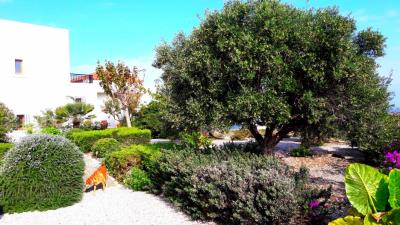 Luxury-property-in-Stavros-Akrotiri-Chania-Crete-for-sale-with-garden-6e5386bb