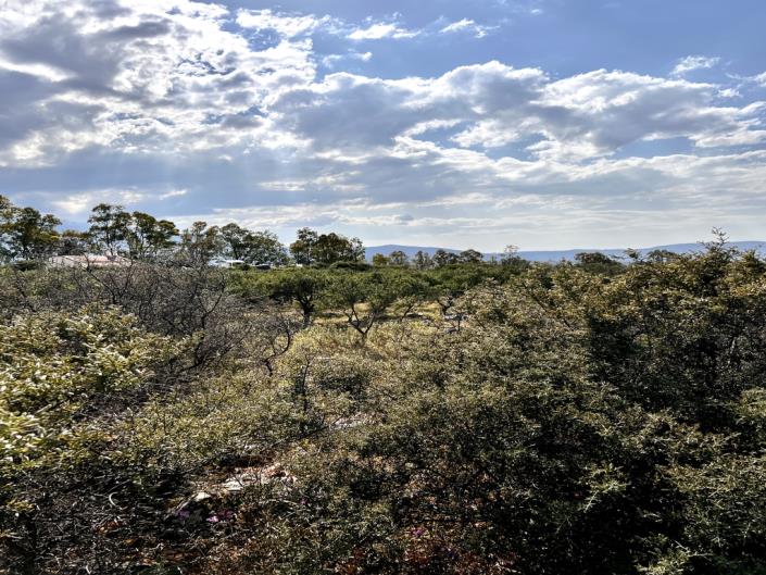 Image No.4-Plot for sale