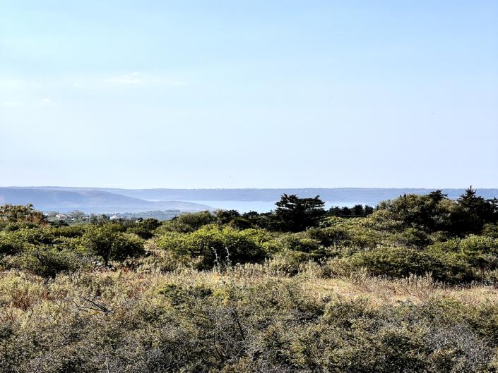 Image No.5-Plot for sale