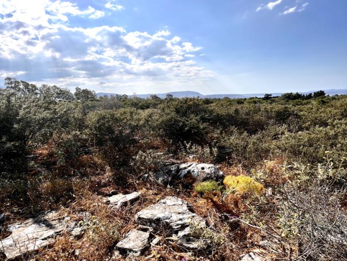 Image No.6-Plot for sale