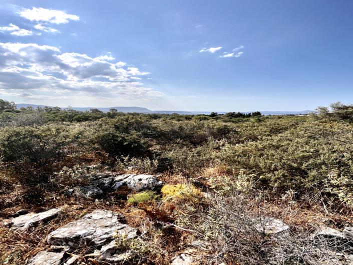 Image No.7-Plot for sale