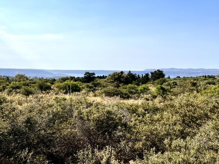 Image No.8-Plot for sale