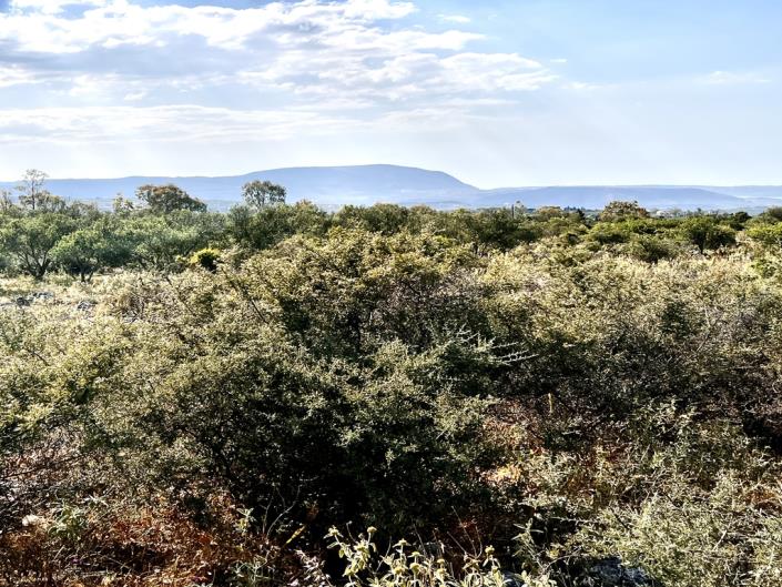 Image No.9-Plot for sale