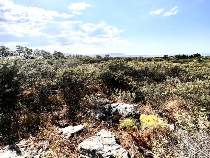 Image No.10-Plot for sale