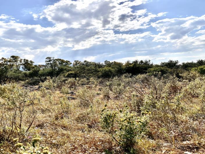 Image No.11-Plot for sale