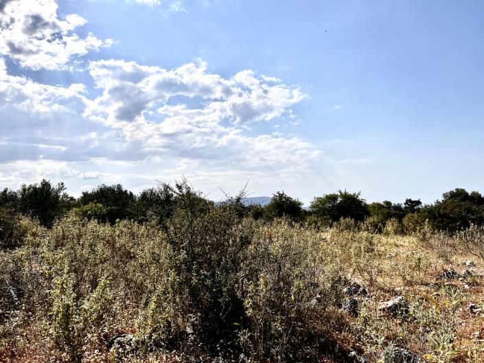 Image No.15-Plot for sale