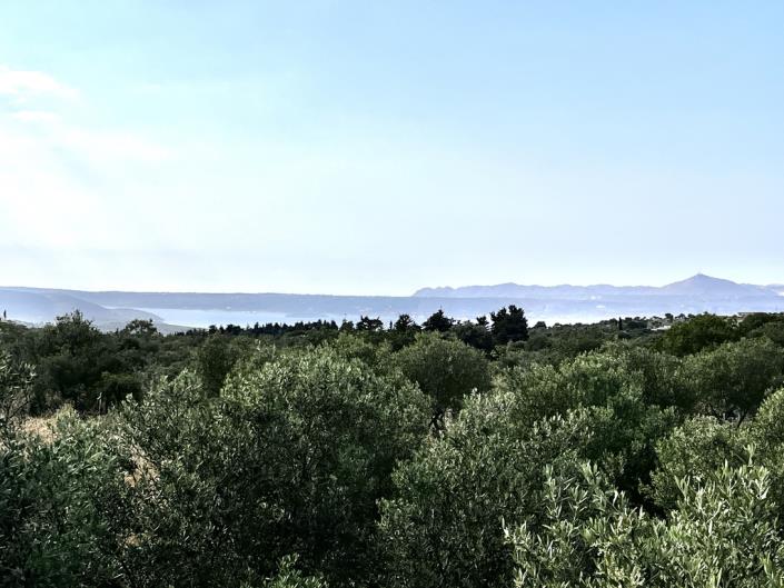 Image No.17-Plot for sale