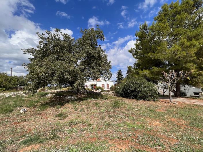 Image No.19-2 Bed Farmhouse for sale