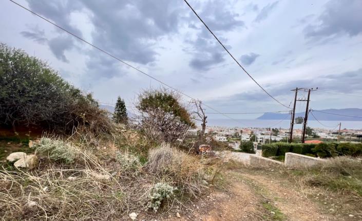 Image No.3-Terre à vendre à Kissamos
