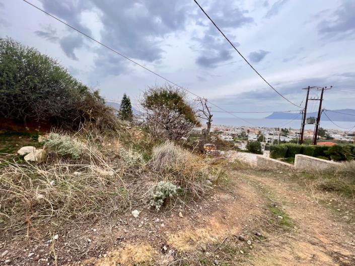 Image No.9-Terre à vendre à Kissamos