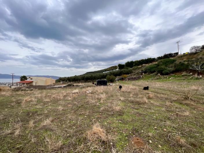 Image No.6-Terre à vendre à Kissamos
