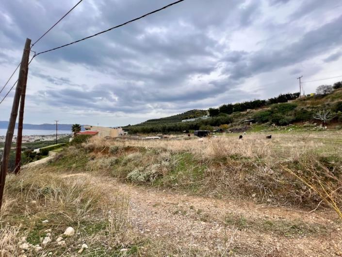 Image No.8-Terre à vendre à Kissamos
