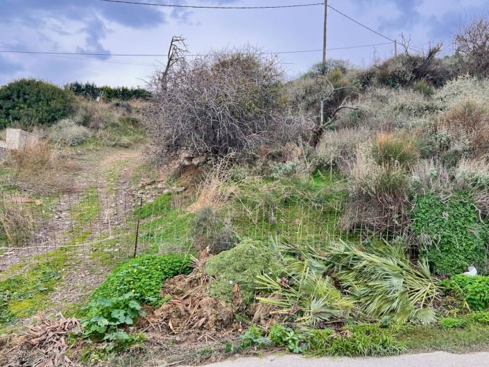 Image No.10-Terre à vendre à Kissamos