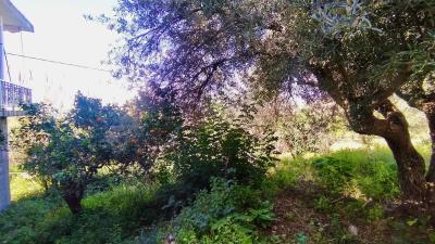 IMG_20230315_121051