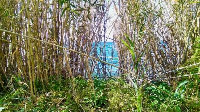 IMG_20230315_121142