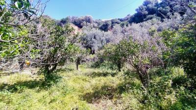 IMG_20230315_121154