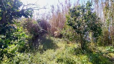 IMG_20230315_121158