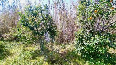 IMG_20230315_121201