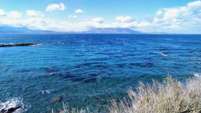 IMG_20230315_120610