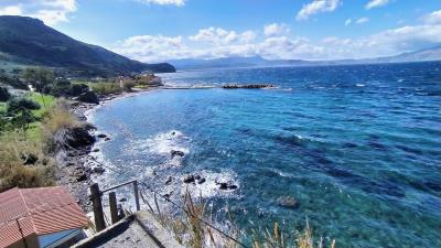 IMG_20230315_120609