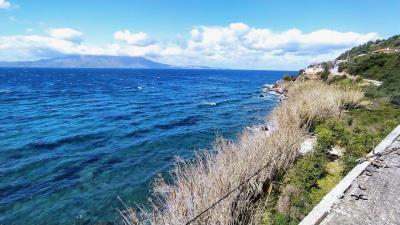 IMG_20230315_120613