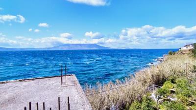IMG_20230315_120624
