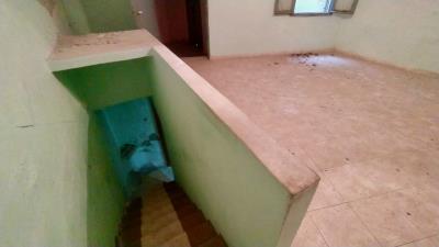 IMG_20230203_113323
