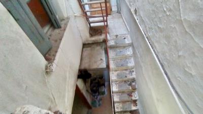 IMG_20230203_113350