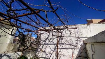 IMG_20230203_113843